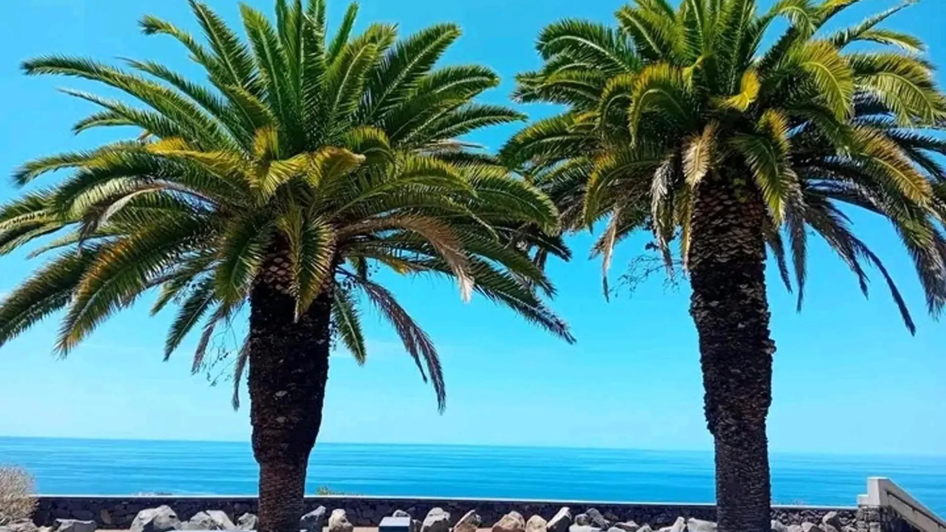 Holiday home Stunning 2-Bed House In Puerto De La Cruz Villa Spain